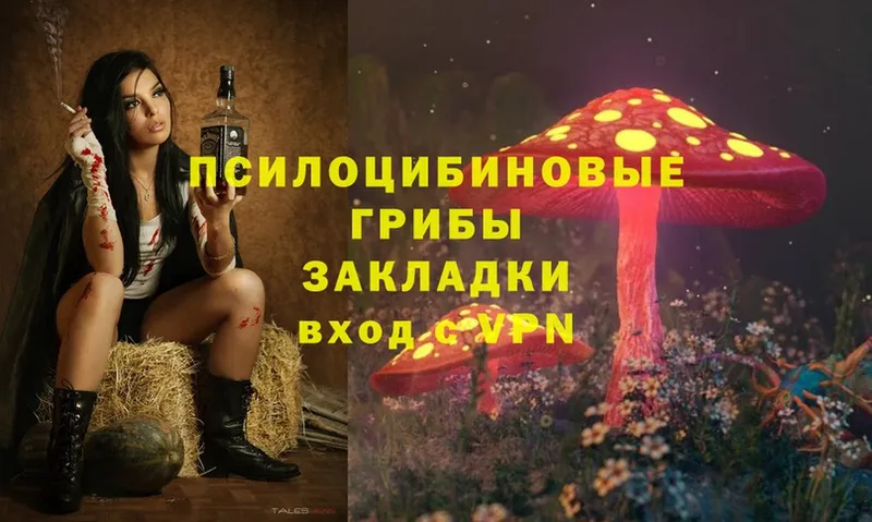 Галлюциногенные грибы Magic Shrooms  ОМГ ОМГ сайт  Железногорск 